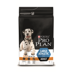 ADULT LARGE BREED ATHLETIC   