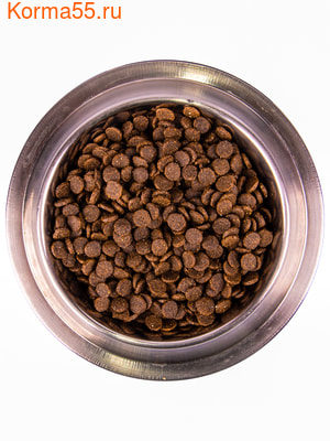   Monge Dog Mini Puppy & Junior () (,  1)