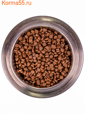   Monge Dog Medium Starter for Mother and baby () (,  4)