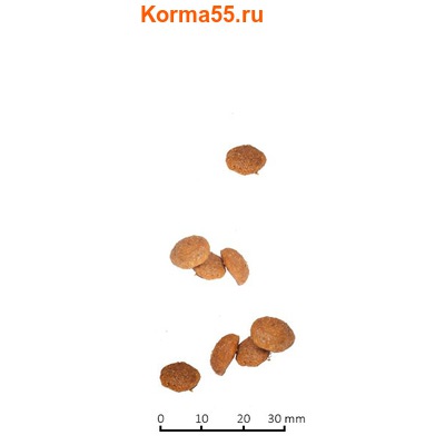   Farmina Vet Life Cat Cardiac (,  1)