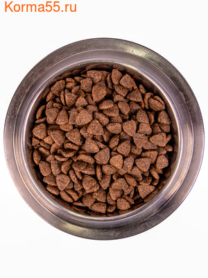   Monge Dog Medium Senior () (,  1)