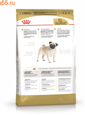   Royal canin Pug Adult (,  1)