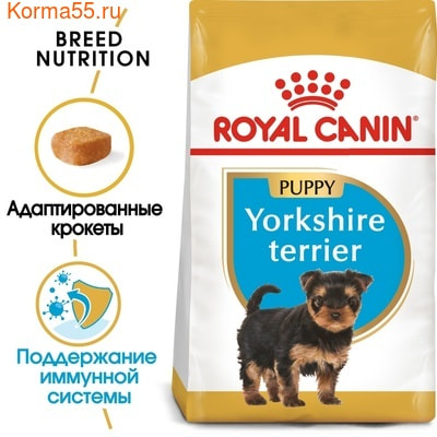   Royal canin YORKSHIRE TERRIER PUPPY (,  2)