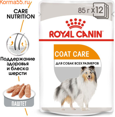   Royal Canin COAT BEAUTY POUCH LOAF ( ) (,  1)