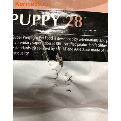   Gina Puppy 28 Denmark (,  1)