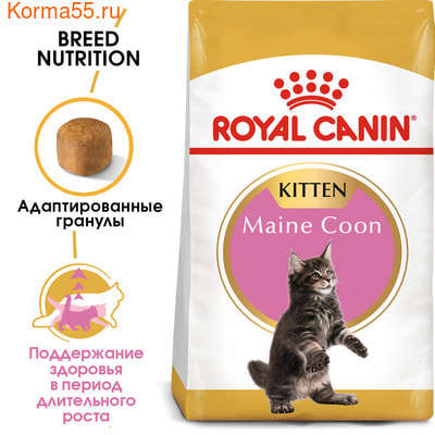   Royal canin KITTEN MAINE COON (,  1)