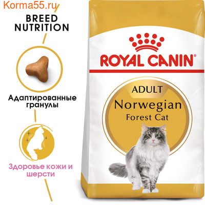 Сухой корм Royal Canin Norwegian Forest Cat Adult (фото, вид 1)