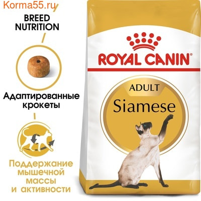   Royal canin SIAMESE (,  1)