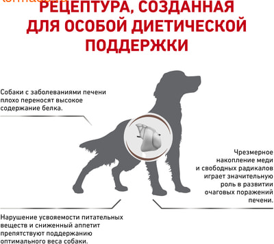   Royal canin HEPATIC HF 16 CANINE (,  2)