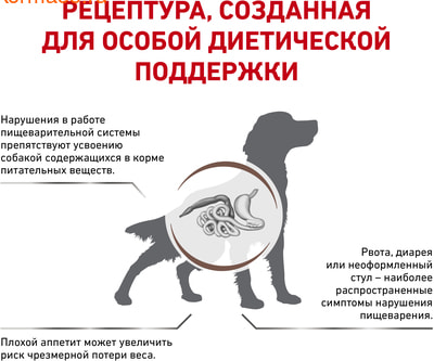   Royal canin GASTRO INTESTINAL GI 25 CANINE (,  2)