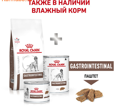   Royal canin GASTRO INTESTINAL GI 25 CANINE (,  6)