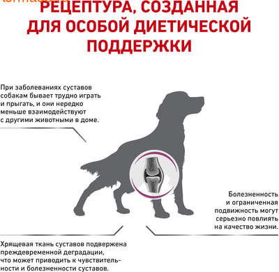   Royal canin MOBILITY MS 25 CANINE (,  2)