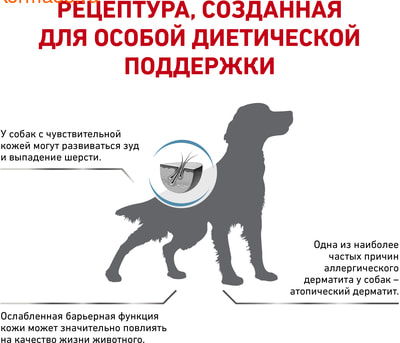 Сухой корм Royal canin SKIN SUPPORT (фото, вид 2)