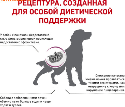   Royal canin RENAL RF 14 CANINE (,  3)