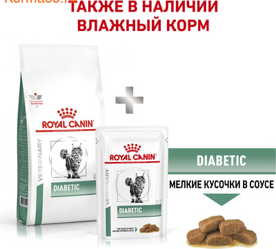   Royal canin Diabetic DS46 (,  6)