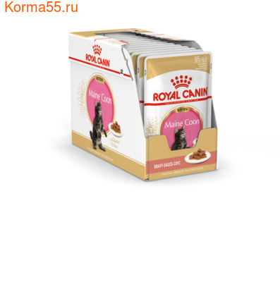   Royal Canin MAINE COON KITTEN ( ) (,  1)