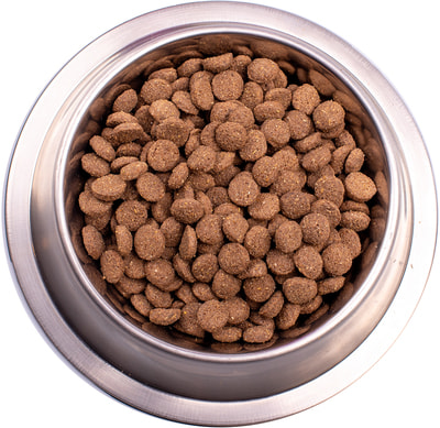   Gemon Dog Medium Adult (  ) (,  1)