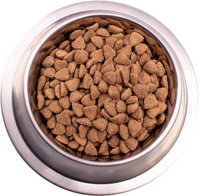   Gemon Dog Medium Puppy & Junior (  ) (,  1)