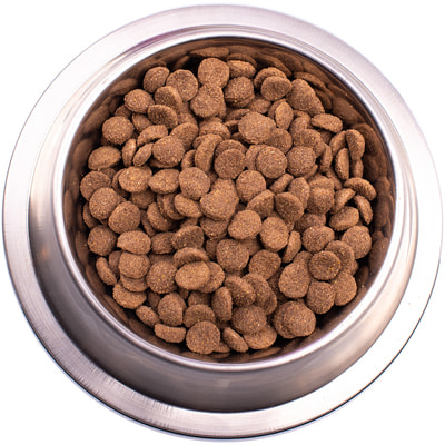   Gemon Dog Medium Adult () (,  1)