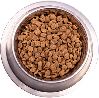   Gemon Dog Light () (,  1)