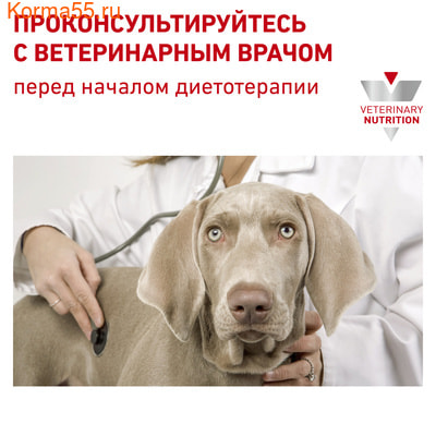   Royal canin Early Renal canin   (,  2)