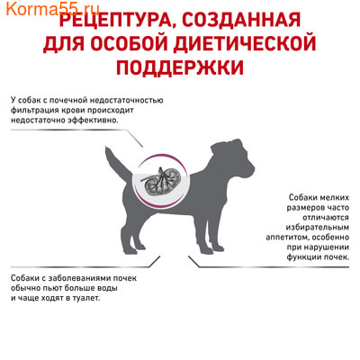   Royal canin Renal Small Dog (,  6)
