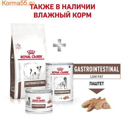   Royal canin Gastrointestinal Low Fat Small Dog (,  1)