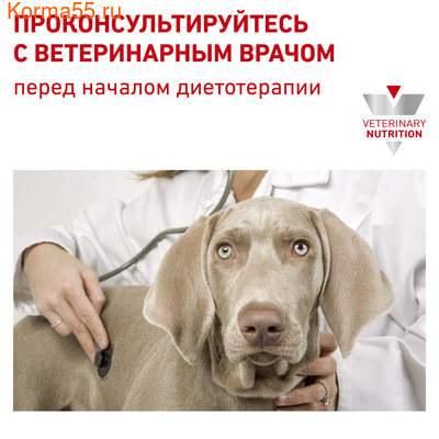 Сухой корм Royal canin Gastrointestinal Low Fat Small Dog (фото, вид 7)