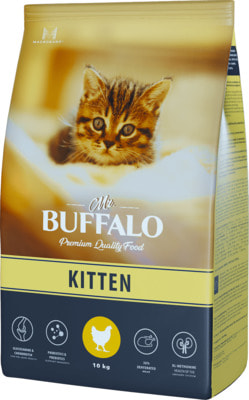   MR. BUFFALO KITTEN   (,  1)