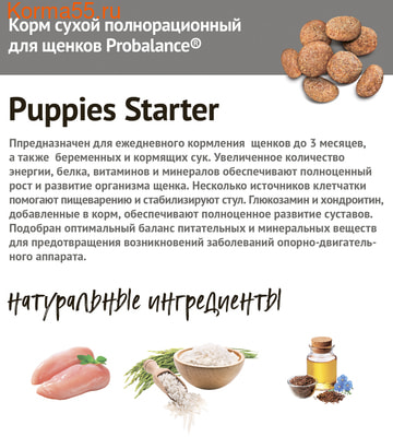   ProBalance Starter (,  3)