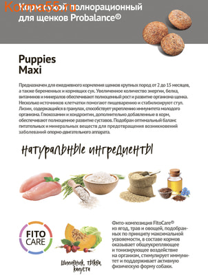 Сухой корм ProBalance Immuno Puppies Maxi (фото, вид 3)