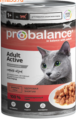  ProBalance Active (,  1)