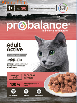  ProBalance Active (,  2)