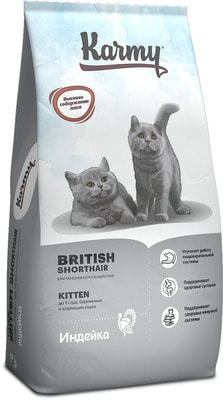   Karmy British Shorthair Kitten (,  2)