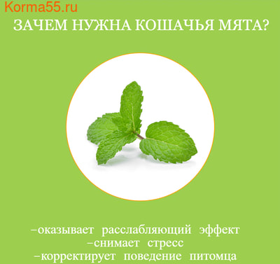  -    (,  2)