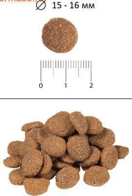   BLitz Sensitive Turkey & Barley (,  2)