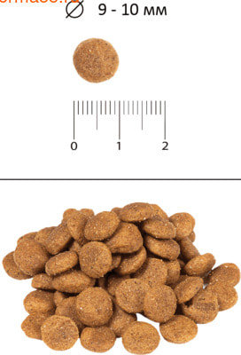   Blitz Classic Mini & Toy Breeds (,  2)