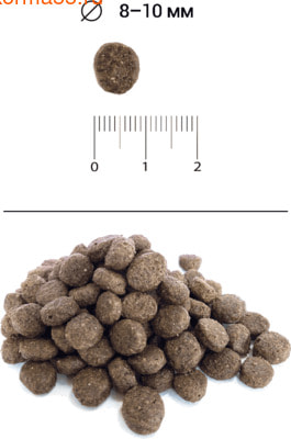   Blitz Holistic Lamb & Salmon (Grain Free) (,  2)