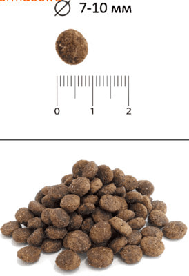   Blitz Holistic Chicken & Fish Cat All Breeds (Low Grain) (,  2)