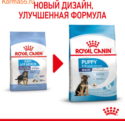   Royal anin MAXI PUPPY (,  1)