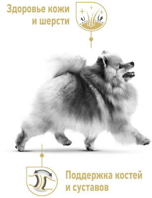   Royal Canin Pomeranian Adult (,  4)