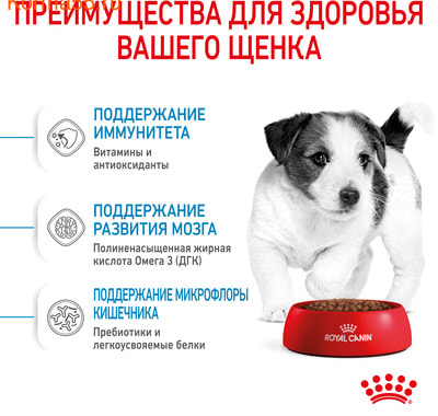   Royal Canin MINI PUPPY (,  4)