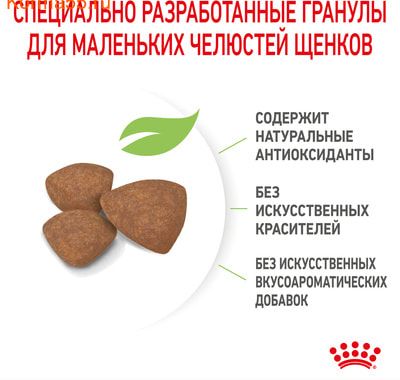   Royal Canin MINI PUPPY (,  5)