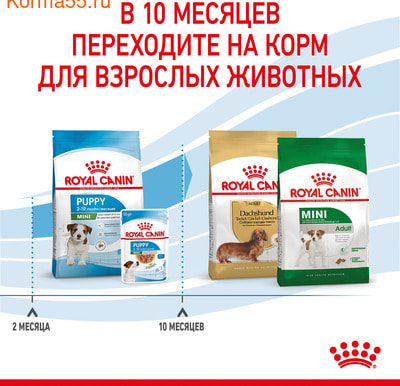   Royal Canin MINI PUPPY (,  6)