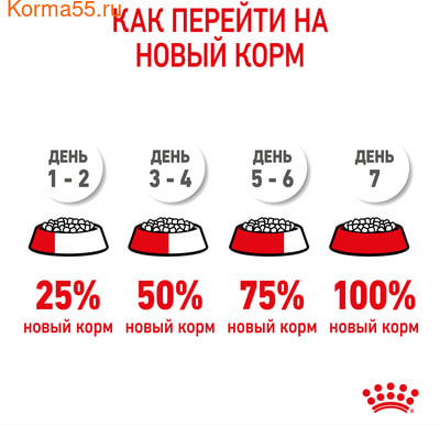   Royal Canin MINI PUPPY (,  9)