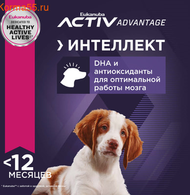   Eukanuba Medium Puppy (,  2)