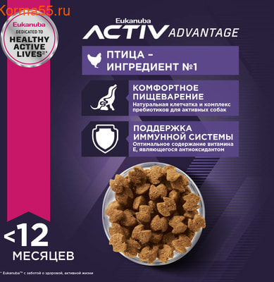   Eukanuba Medium Puppy (,  4)