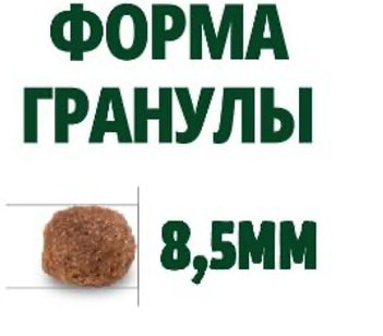   Guabi Natural Dog Adult (   ) (,  3)