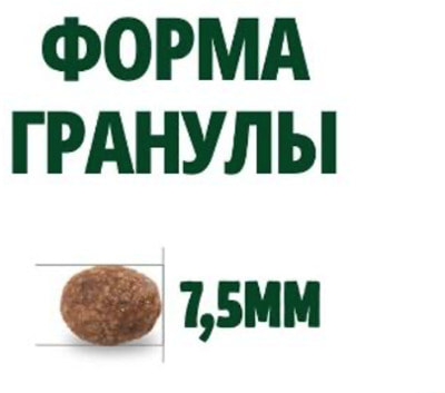   Guabi Natural Puppy (   ) (,  3)