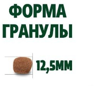  Guabi Natural Dog Adult (   ) (,  3)